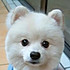 **aosahu88