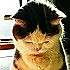 他像一只猪