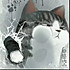 吃货索尼