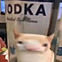 大脸猫2333