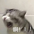 想要夏天美美哒