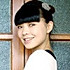 菜菜三只熊