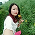 sunny377