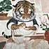 青椒炒黄瓜
