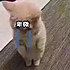 我是你的唯一←_←