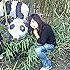 葡萄