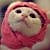 走廊转角的猫