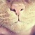 Herve_zhang