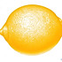 PP910122