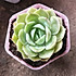 听心0708