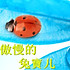 豆豆妈妈730