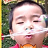 晓燕oaes