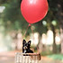 flyingteapot
