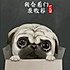 爱疯80