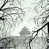 SeeyouChen