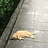 好纠结晚上吃什么