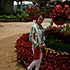 qiuqiu123happy
