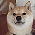 糖蒜lzkw