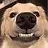 北