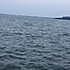 居沪谷