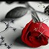 (^O^)miss