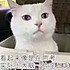 Serene是只小兔子