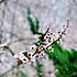 蕾蕾0703
