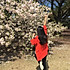 面包超人cherry