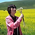 green tea（chenyi)