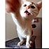 CHENCHENCHEN-