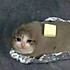 土豆烧牛肉盖饭