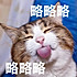 何日君