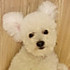 babysjj