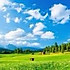 热干面第叁碗