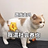 国民罗勒很卑鄙