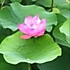 缤纷时节