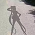 葵沉默的爱