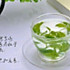 苦丁茶vemt