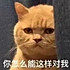 咸柠七77