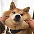 冰糖炖梨