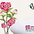 蝶恋花0501