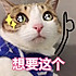 烤猪蹄子