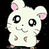 ﹏笨鸟依人。