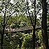 王小英mnfz