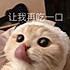 猫可妮的小日子