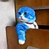 蜜汁猪肉脯