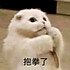 炸酥肉u