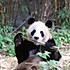后厨小男孩
