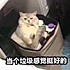 年老的鹅肝