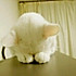 Amy_可儿